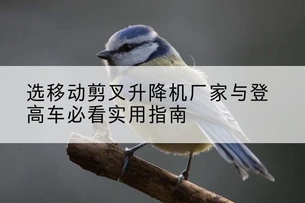 鱼峰电动升降机厂家-选移动剪叉升降机厂家与登高车必看实用指南
