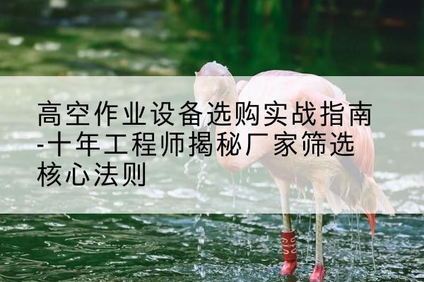 鱼峰剪叉式升降机厂家-高空作业设备选购实战指南-十年工程师揭秘厂家筛选核心法则