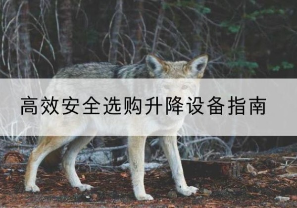 鱼峰升降货梯厂家推荐-*安全选购升降设备指南