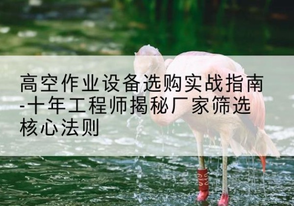 鱼峰剪叉式升降机厂家-高空作业设备选购实战指南-十年工程师揭秘厂家筛选核心法则